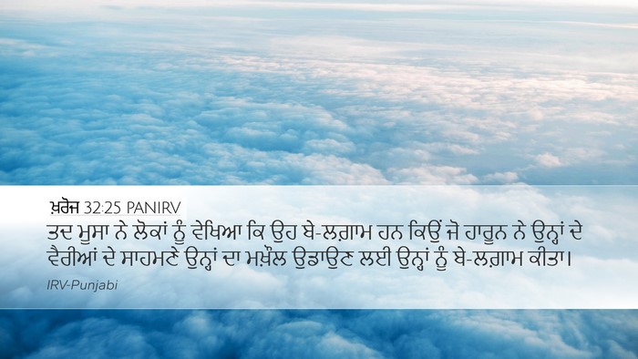 ਖ਼ਰੋਜ 32:25 PANIRV Bible Verse Image