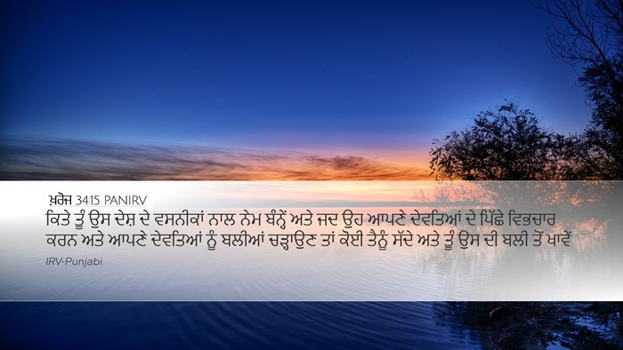 ਖ਼ਰੋਜ 34:15 PANIRV Bible Verse Image