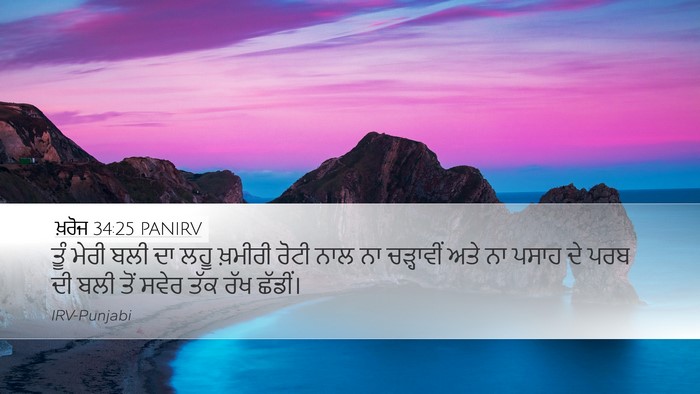 ਖ਼ਰੋਜ 34:25 PANIRV Bible Verse Image
