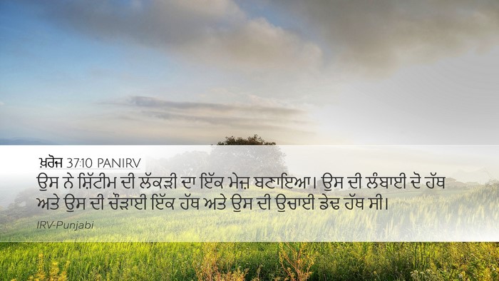 ਖ਼ਰੋਜ 37:10 PANIRV Bible Verse Image