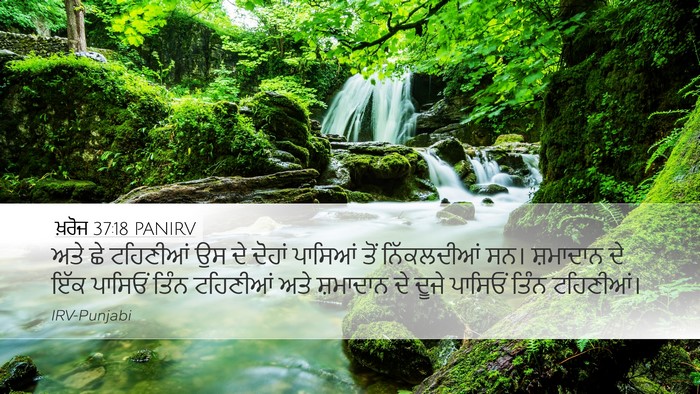 ਖ਼ਰੋਜ 37:18 PANIRV Desktop Wallpaper - ਅਤੇ ਛੇ ਟਹਿਣੀਆਂ ਉਸ - Desktop Bible Verse Wallpaper