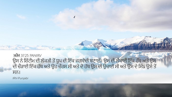 ਖ਼ਰੋਜ 37:25 PANIRV Bible Verse Image