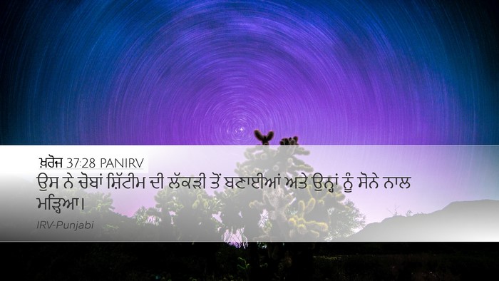 ਖ਼ਰੋਜ 37:28 PANIRV Desktop Wallpaper - ਉਸ ਨੇ ਚੋਬਾਂ - Desktop Bible Verse Wallpaper