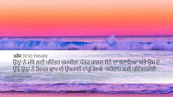 ਖ਼ਰੋਜ 39:30 PANIRV Bible Verse Image