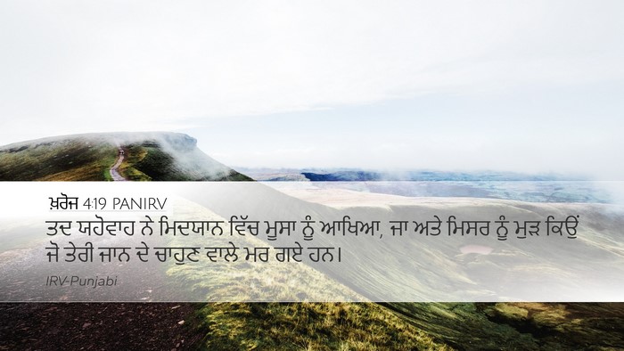 ਖ਼ਰੋਜ 4:19 PANIRV Bible Verse Image