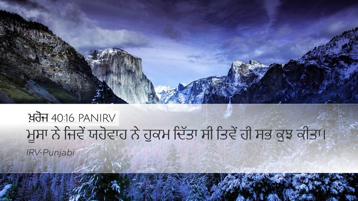 ਖ਼ਰੋਜ 40:16 PANIRV Bible Verse Image