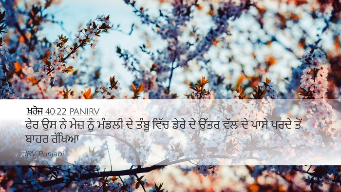 ਖ਼ਰੋਜ 40:22 PANIRV Bible Verse Image