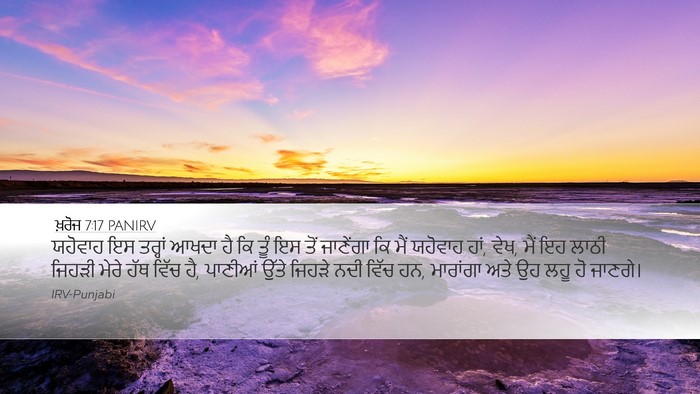 ਖ਼ਰੋਜ 7:17 PANIRV Bible Verse Image