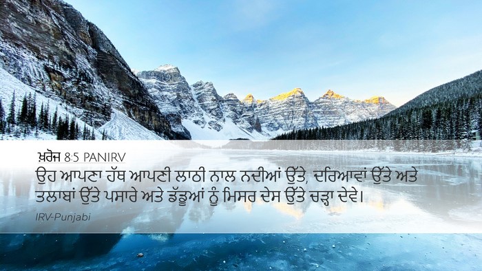 ਖ਼ਰੋਜ 8:5 PANIRV Bible Verse Image
