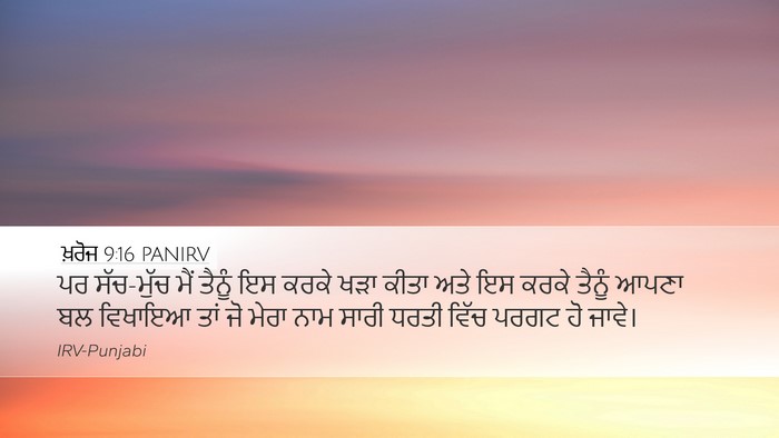 ਖ਼ਰੋਜ 9:16 PANIRV Bible Verse Image