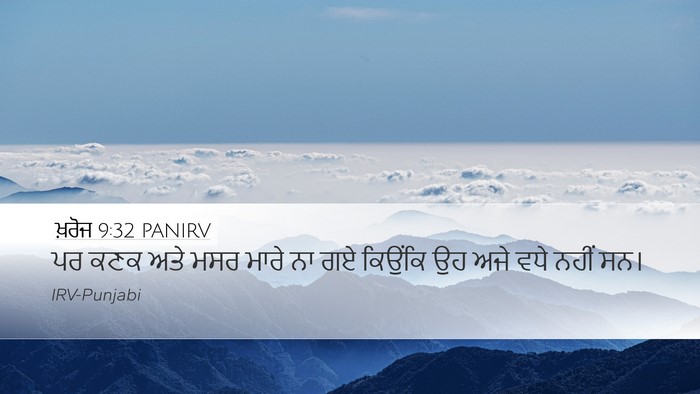 ਖ਼ਰੋਜ 9:32 PANIRV Bible Verse Image