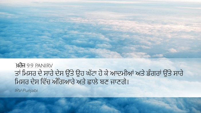 ਖ਼ਰੋਜ 9:9 PANIRV Bible Verse Image