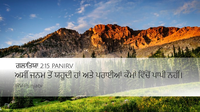 ਗਲਾਤਿਯਾ 2:15 PANIRV Bible Verse Image