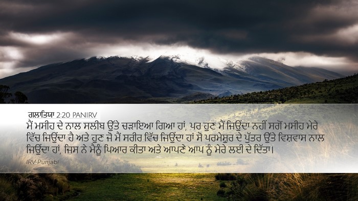 ਗਲਾਤਿਯਾ 2:20 PANIRV Bible Verse Image