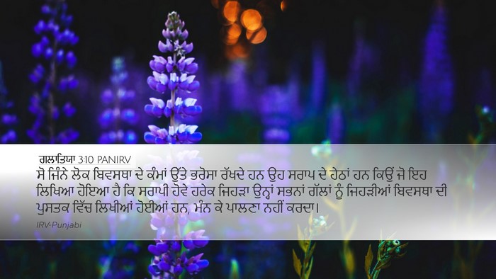 ਗਲਾਤਿਯਾ 3:10 PANIRV Bible Verse Image