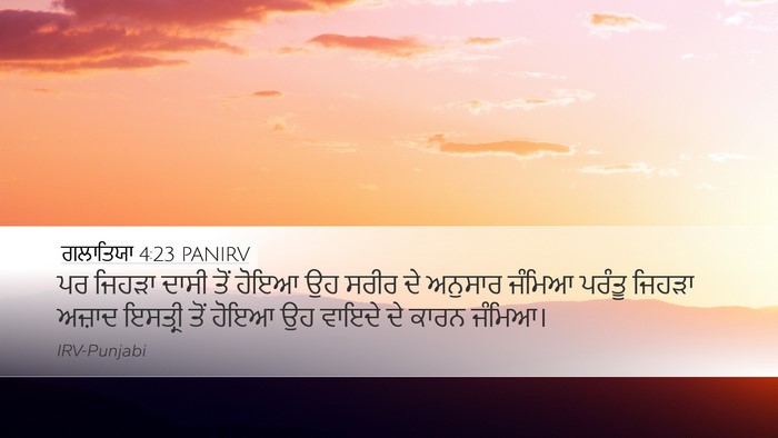 ਗਲਾਤਿਯਾ 4:23 PANIRV Bible Verse Image