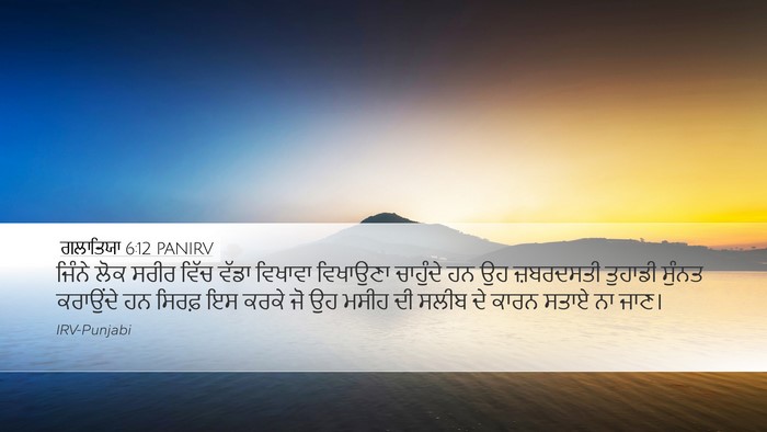 ਗਲਾਤਿਯਾ 6:12 PANIRV Bible Verse Image