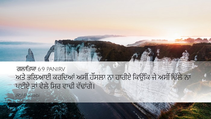 ਗਲਾਤਿਯਾ 6:9 PANIRV Bible Verse Image