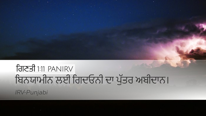 ਗਿਣਤੀ 1:11 PANIRV Bible Verse Image