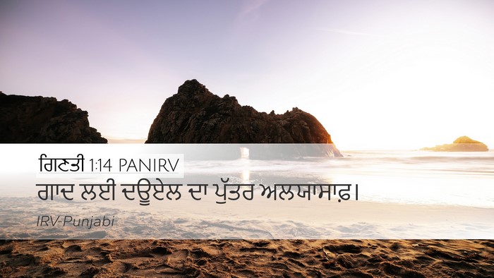 ਗਿਣਤੀ 1:14 PANIRV Bible Verse Image