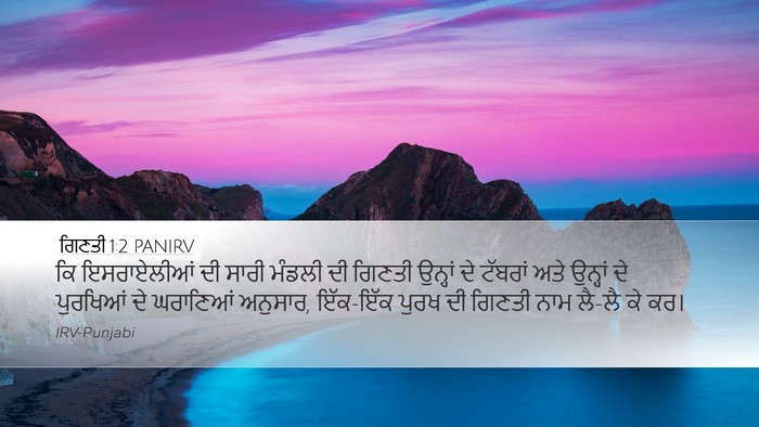 ਗਿਣਤੀ 1:2 PANIRV Bible Verse Image
