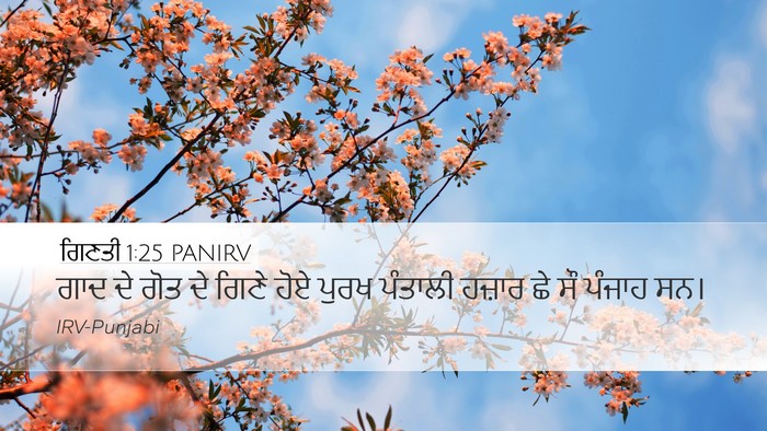 ਗਿਣਤੀ 1:25 PANIRV Bible Verse Image
