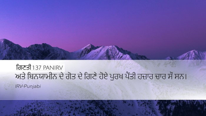 ਗਿਣਤੀ 1:37 PANIRV Bible Verse Image