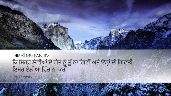 ਗਿਣਤੀ 1:49 PANIRV Bible Verse Image
