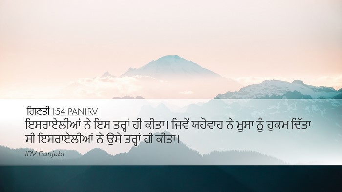 ਗਿਣਤੀ 1:54 PANIRV Bible Verse Image