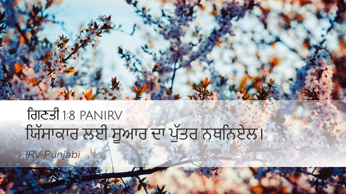 ਗਿਣਤੀ 1:8 PANIRV Bible Verse Image