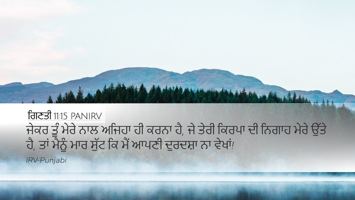 ਗਿਣਤੀ 11:15 PANIRV Bible Verse Image