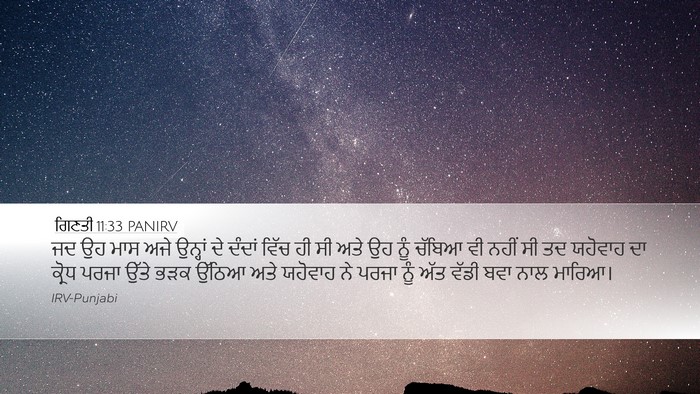 ਗਿਣਤੀ 11:33 PANIRV Bible Verse Image