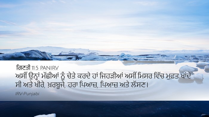 ਗਿਣਤੀ 11:5 PANIRV Bible Verse Image
