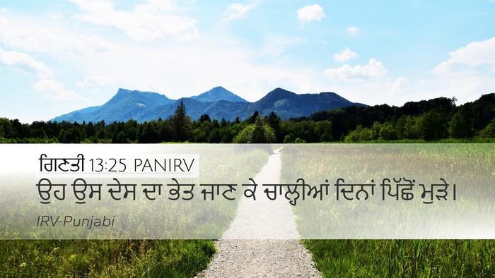 ਗਿਣਤੀ 13:25 PANIRV Desktop Wallpaper - ਉਹ ਉਸ ਦੇਸ ਦਾ ਭੇਤ - Desktop Bible Verse Wallpaper
