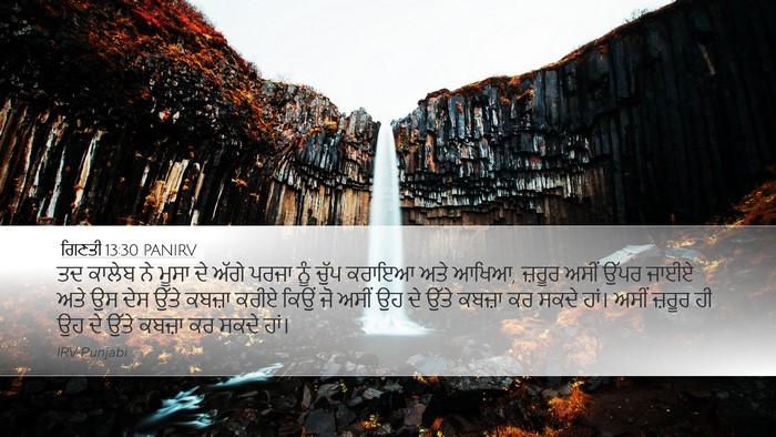 ਗਿਣਤੀ 13:30 PANIRV Bible Verse Image
