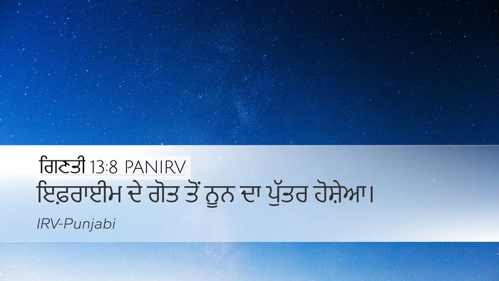 ਗਿਣਤੀ 13:8 PANIRV Bible Verse Image