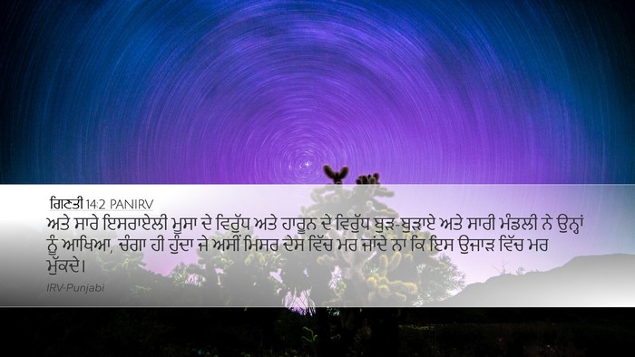 ਗਿਣਤੀ 14:2 PANIRV Bible Verse Image