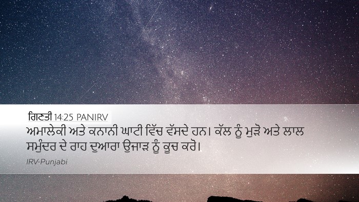 ਗਿਣਤੀ 14:25 PANIRV Bible Verse Image