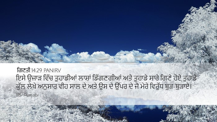 ਗਿਣਤੀ 14:29 PANIRV Bible Verse Image