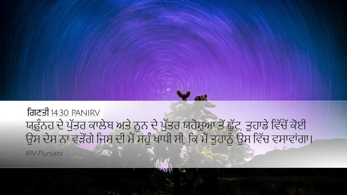 ਗਿਣਤੀ 14:30 PANIRV Bible Verse Image