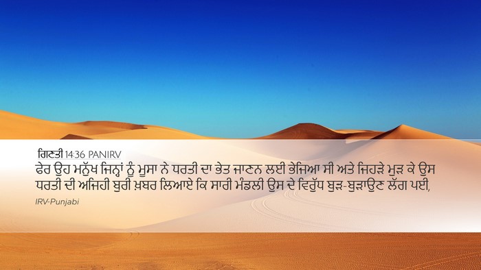 ਗਿਣਤੀ 14:36 PANIRV Bible Verse Image