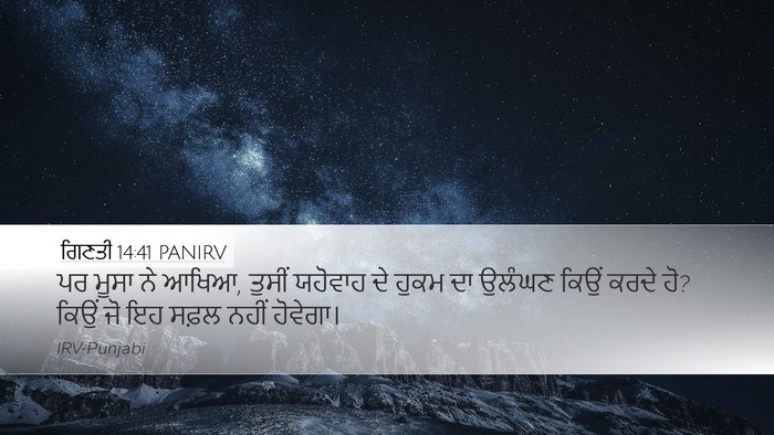 ਗਿਣਤੀ 14:41 PANIRV Bible Verse Image