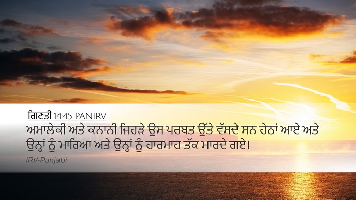 ਗਿਣਤੀ 14:45 PANIRV Bible Verse Image