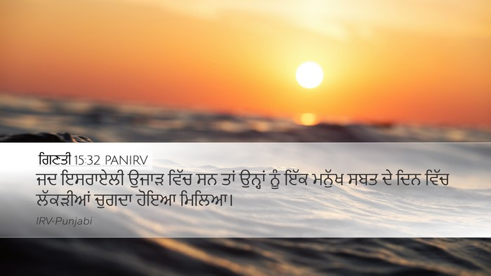 ਗਿਣਤੀ 15:32 PANIRV Bible Verse Image