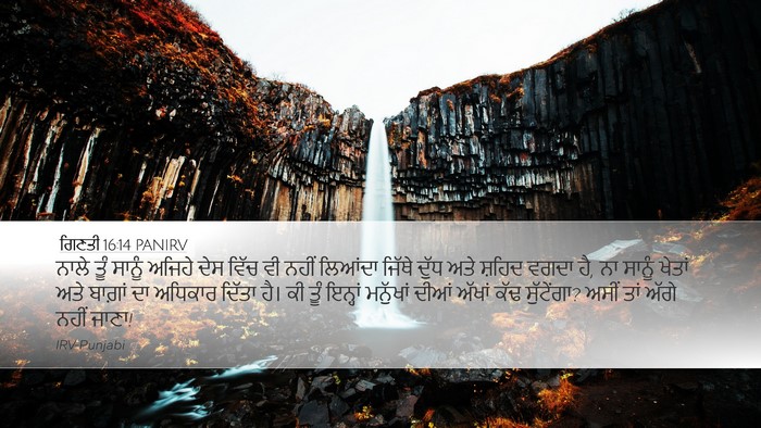 ਗਿਣਤੀ 16:14 PANIRV Desktop Wallpaper - ਨਾਲੇ ਤੂੰ ਸਾਨੂੰ - Desktop Bible Verse Wallpaper
