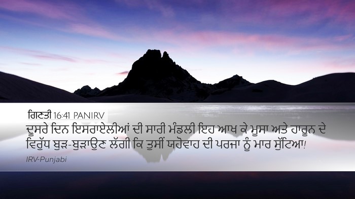 ਗਿਣਤੀ 16:41 PANIRV Bible Verse Image
