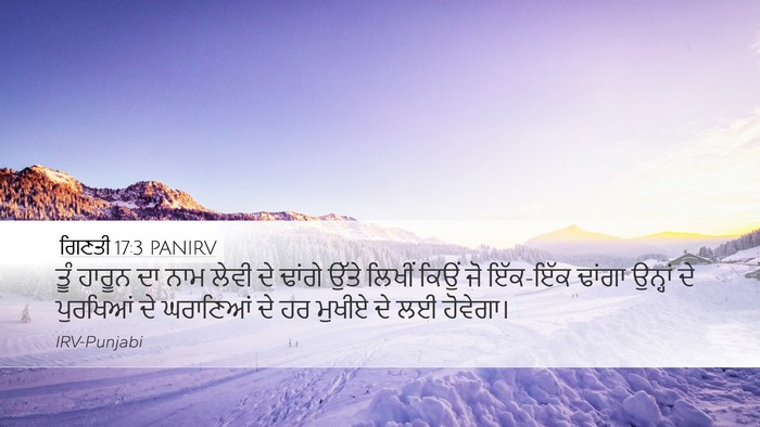 ਗਿਣਤੀ 17:3 PANIRV Desktop Wallpaper - ਤੂੰ ਹਾਰੂਨ ਦਾ ਨਾਮ - Desktop Bible Verse Wallpaper