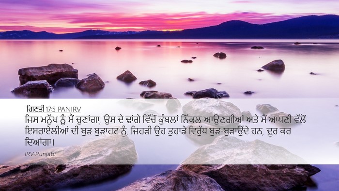 ਗਿਣਤੀ 17:5 PANIRV Bible Verse Image