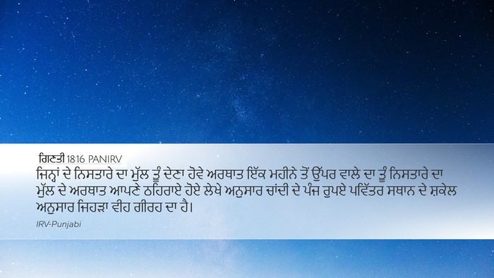 ਗਿਣਤੀ 18:16 PANIRV Bible Verse Image