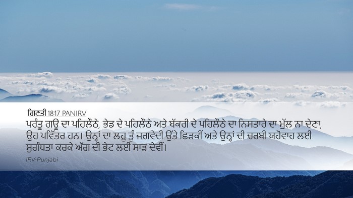 ਗਿਣਤੀ 18:17 PANIRV Desktop Wallpaper - ਪਰੰਤੂ ਗਊ ਦਾ - Desktop Bible Verse Wallpaper